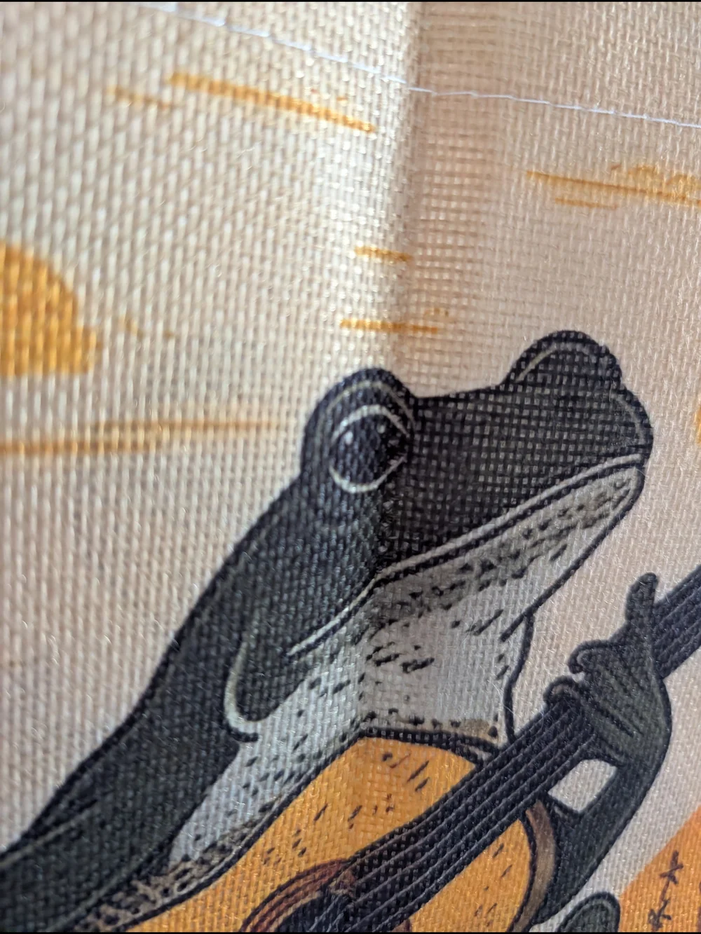 Stay Weird Frog with Guitar Wall Flag - Orange